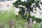 Yarrawacommercial-landscaping-10.jpg; ?>
