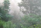 Yarrawalandscaping-irrigation-4.jpg; ?>