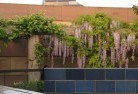 Yarrawarooftop-and-balcony-gardens-1.jpg; ?>